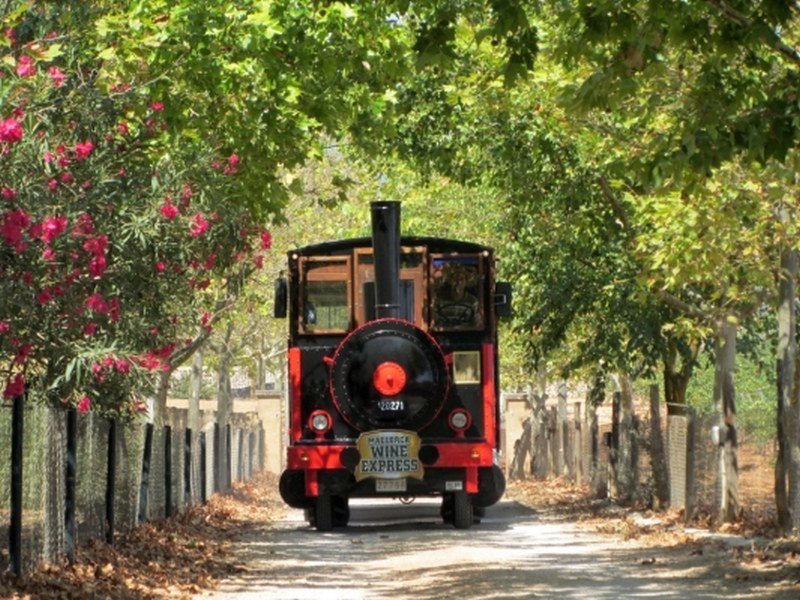 Mallorca Wine Tours - Wine Train 