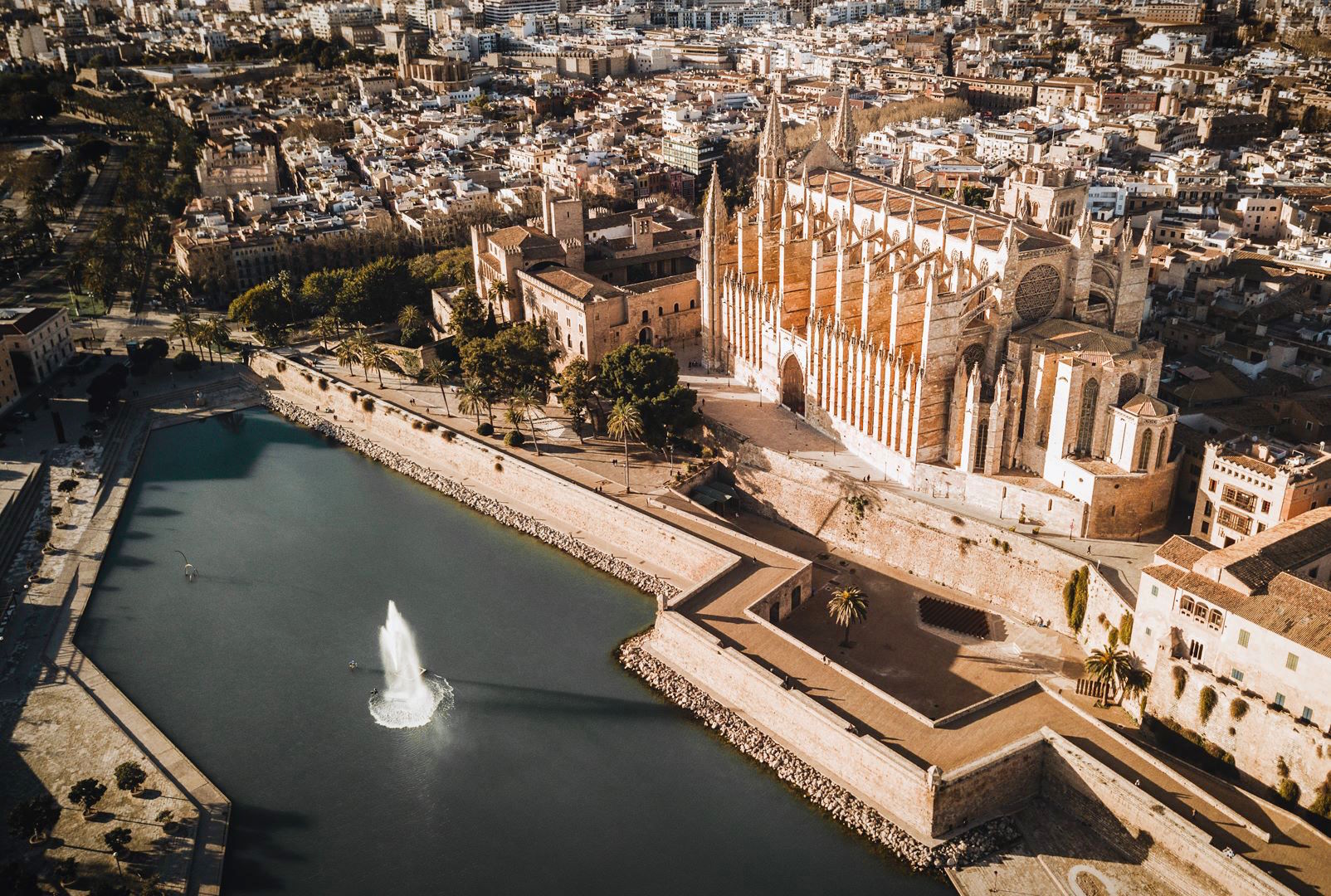 Kathedrale von Palma - Steve fängt ein - Mallorca Urlaubsführer 