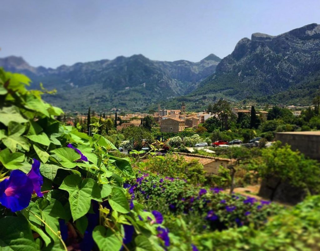 Blick über das Tal von Sóller - Wandern auf Mallorca 