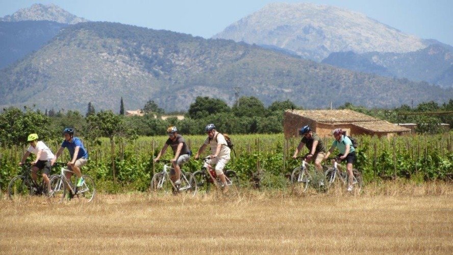 Bike-and-wine-tour-mallorca
