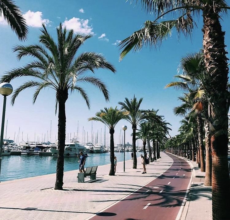 Bay of Palma - Belens - 5 Reasons to Spend Christmas in Mallorca 